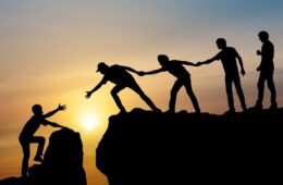 article_image_fond article_image_fond